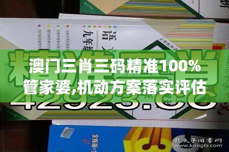 澳门三肖三码精准100%管家婆,机动方案落实评估_Gold83.330