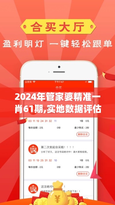 2024年管家婆精准一肖61期,实地数据评估计划_收藏版48.645