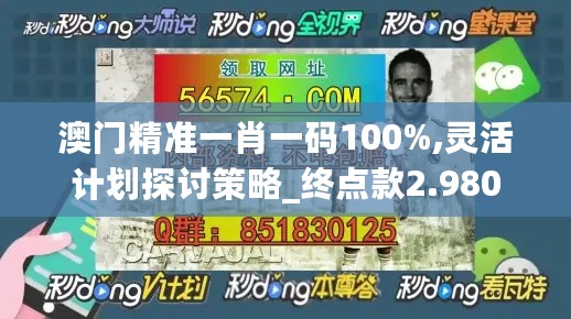 澳门精准一肖一码100%,灵活计划探讨策略_终点款2.980