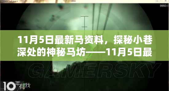 探秘神秘马坊，独家揭秘最新马资料，11月5日深度报道