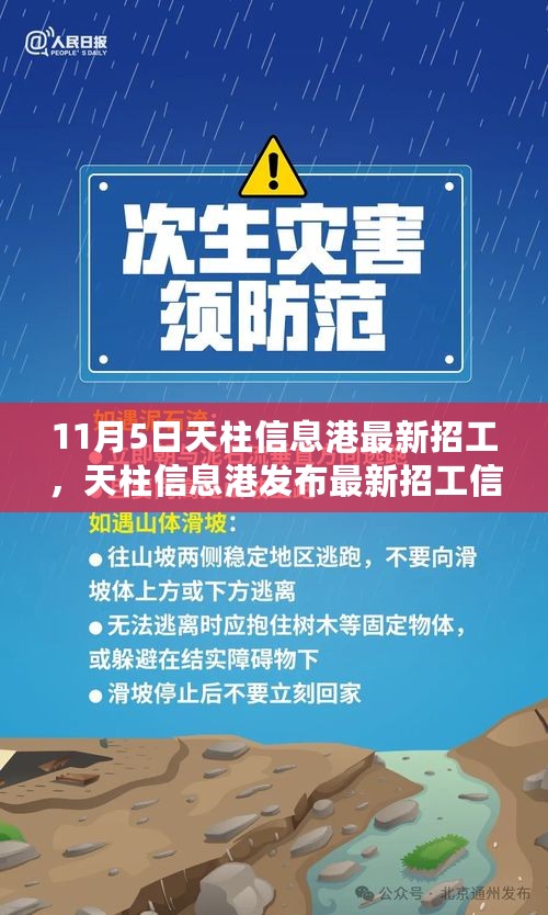 11月5日天柱信息港最新招工亮点解析，职场新机遇五大亮点探寻