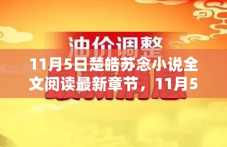 楚皓苏念小说最新章节指南，全文阅读及最新更新动态