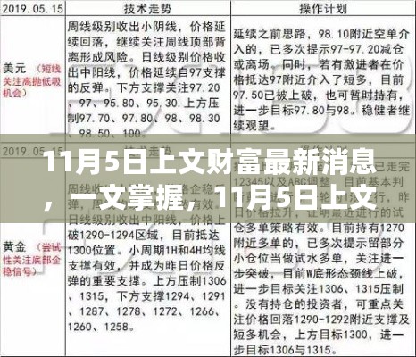 一文掌握，11月5日上文财富最新消息——入门与进阶指南