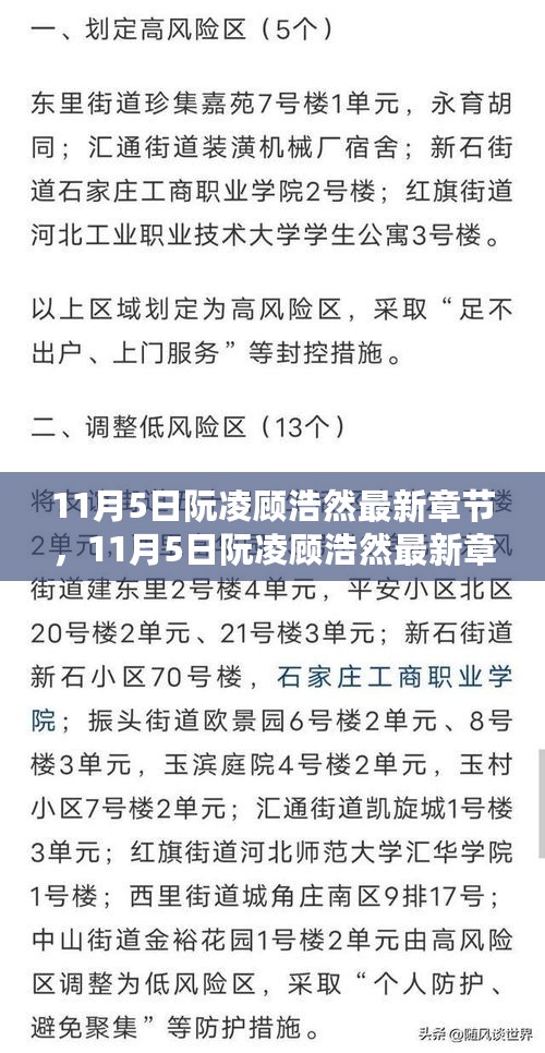 动人爱情故事揭秘，阮凌与顾浩然的最新章节深度解析（11月5日更新）