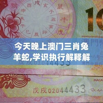 今天晚上澳门三肖兔羊蛇,学识执行解释解答_试点型57.408