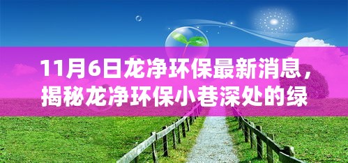 揭秘龙净环保小巷深处的绿色瑰宝，最新发现与环保进展揭秘