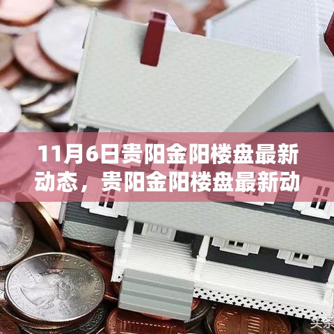 贵阳金阳楼盘最新动态深度解析，产品特性、用户体验与市场定位探讨