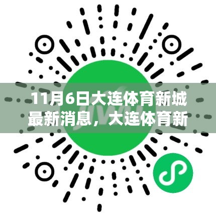 大连体育新城最新动态及参与体育活动全面指南揭秘，11月6日最新消息速递