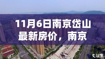 南京岱山房价变迁背后的励志故事与自信之光，最新房价及新篇章概述（11月6日）