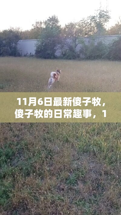 11月6日傻子牧的温馨时光，日常趣事大揭秘