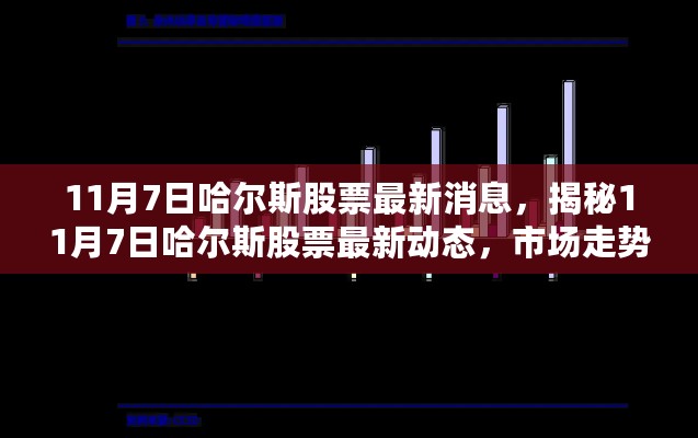 揭秘哈尔斯股票最新动态，市场走势分析与前景展望（11月7日更新）