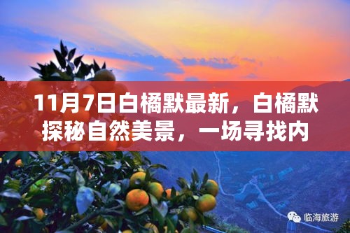 白橘默的自然探秘之旅，寻找内心平静的奇妙旅程