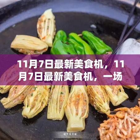 最新美食机启程，与自然美景的美食之旅，探寻心灵宁静与幽默的味蕾盛宴