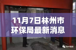 林州市环保局最新动态解析，聚焦环保工作进展与挑战，探讨新消息及挑战