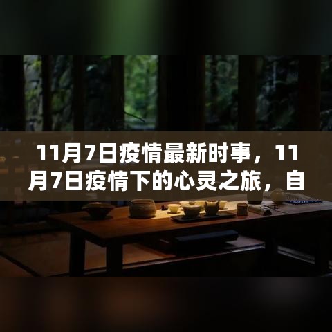 11月7日疫情下的心灵之旅，自然美景呼唤内心平和与力量