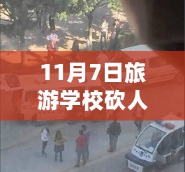 11月7日旅游学校砍人事件最新处理步骤指南