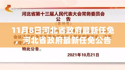 河北省政府最新任免公告解读，聚焦要点分析