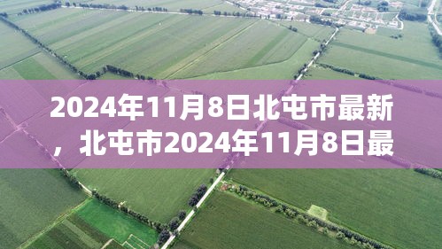 北屯市任务指南，最新任务指南助你轻松完成任务学习新技能（2024年11月8日）