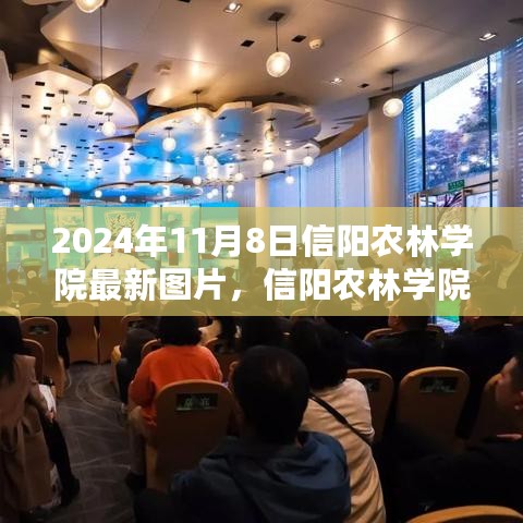 2024年信阳农林学院新貌，学习变革中的鼓舞与自信绽放