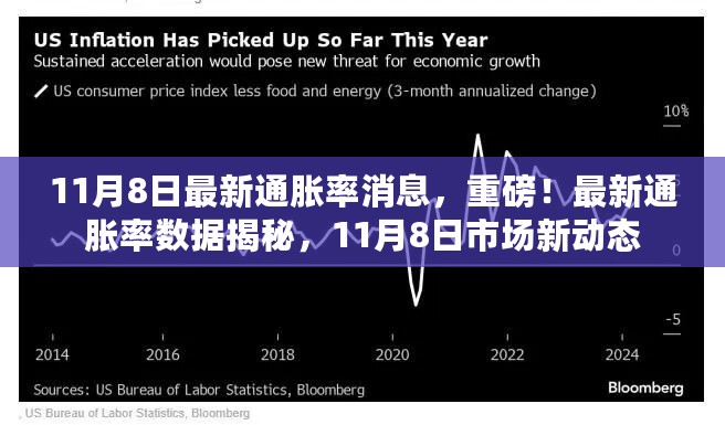 最新通胀率数据揭秘，市场新动态（11月8日更新）