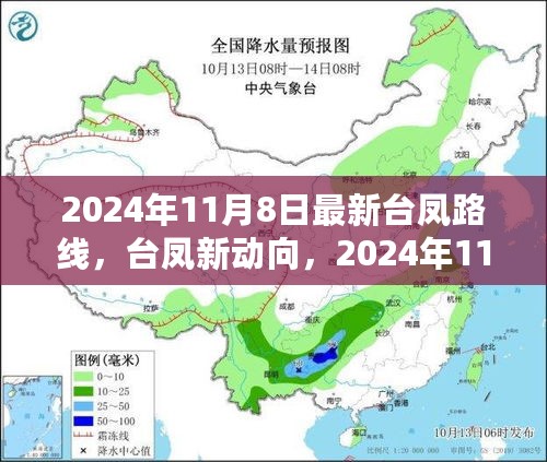 揭秘，2024年台凤最新路线动向