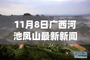 广西凤山，爱在平凡时光里的温馨新闻故事，11月8日最新报道