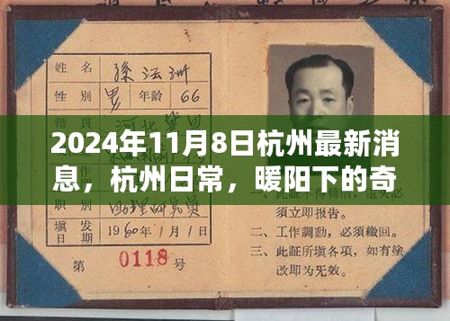 杭州日常，暖阳下的奇遇与温情纽带（最新消息，2024年11月8日）