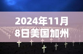 美国加州最新事件深度解析，聚焦多维视角下的2024年11月8日观察