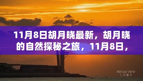 胡月晓启程探寻自然奥秘，内心的宁静乐园之旅 11月8日最新动态