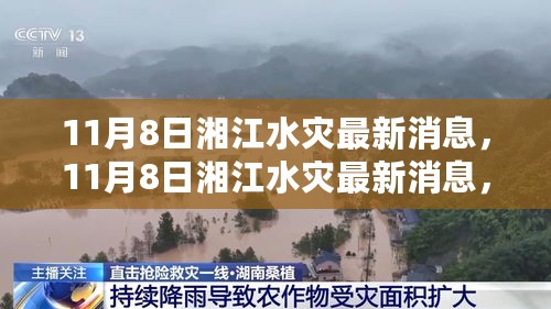 湘江水灾最新消息，救援进展与灾后重建工作持续进行中