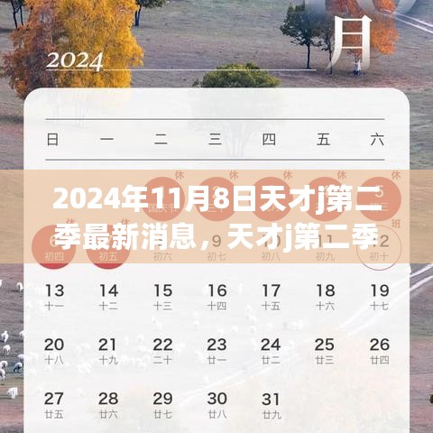 2024年11月8日 第10页