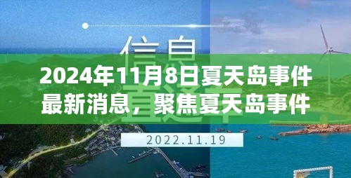 夏天岛事件最新进展与各方观点深度剖析（2024年11月8日）