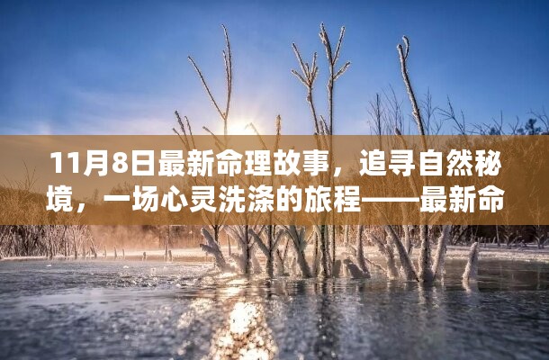 最新命理故事，秋日奇遇——心灵洗涤的自然秘境追寻之旅