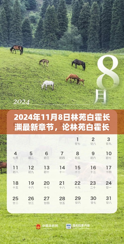 林苑白霍长渊深度解析与个人立场，最新章节探讨（2024年11月8日）