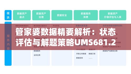 管家婆数据精要解析：状态评估与解题策略UMS681.24