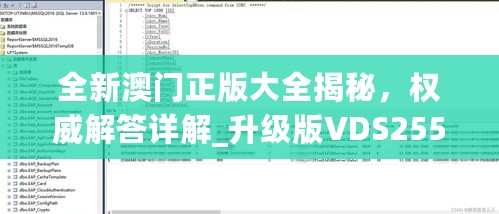 全新澳门正版大全揭秘，权威解答详解_升级版VDS255.5