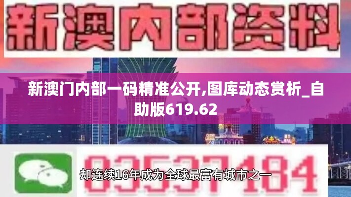 新澳门内部一码精准公开,图库动态赏析_自助版619.62