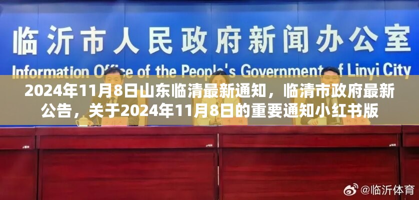 临清市政府最新公告，关于2024年11月8日重要通知的详细解读（小红书版）