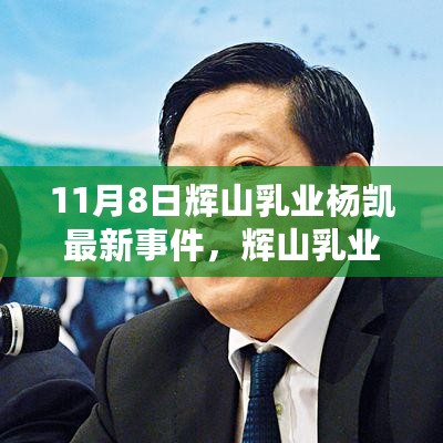 辉山乳业杨凯事件背景下，产品特性深度解读与目标用户群体分析（最新进展）