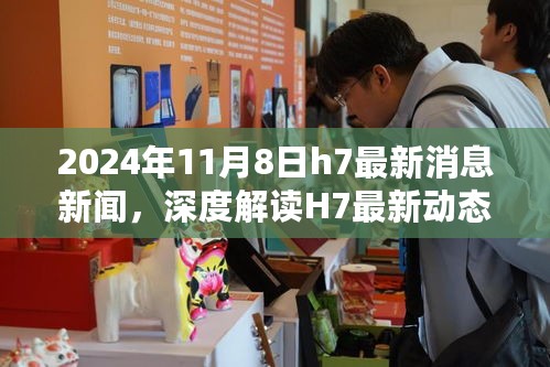 深度解读，2024年11月8日H7最新动态与消息新闻分析