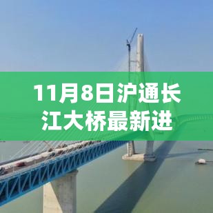 沪通长江大桥最新进展揭秘，11月8日更新，建造过程详解，适合初学者