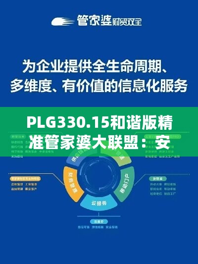 PLG330.15和谐版精准管家婆大联盟：安全策略特色解析