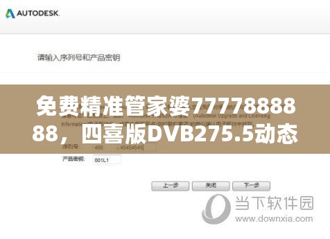 免费精准管家婆7777888888，四喜版DVB275.5动态词解析