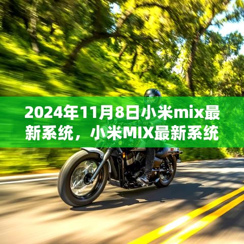 小米MIX系统升级指南，2024年11月8日最新系统更新步骤详解及升级指南