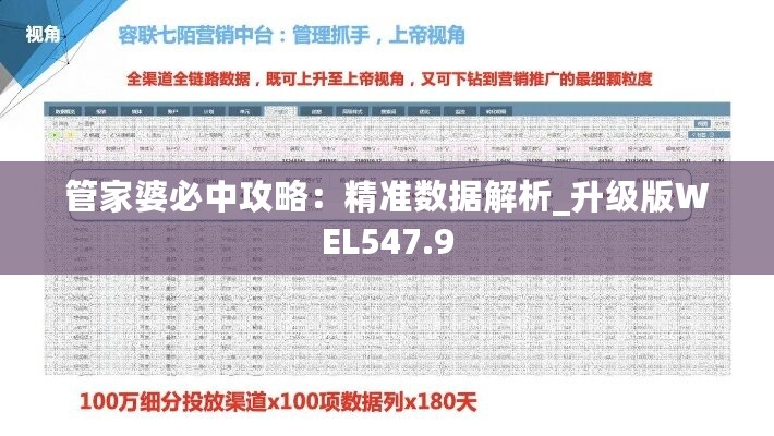 管家婆必中攻略：精准数据解析_升级版WEL547.9