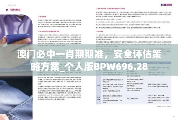 澳门必中一肖期期准，安全评估策略方案_个人版BPW696.28