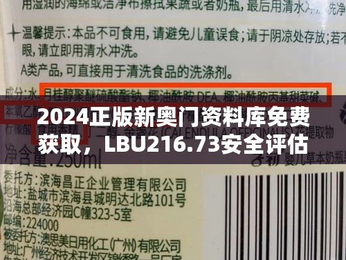 2024正版新奥门资料库免费获取，LBU216.73安全评估方案未来版