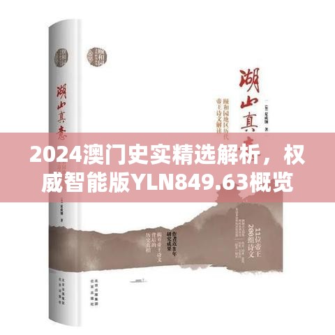 2024澳门史实精选解析，权威智能版YLN849.63概览