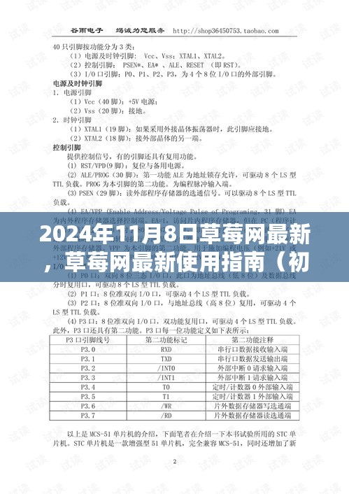 草莓网最新使用指南，初学者与进阶用户适用（更新至2024年）