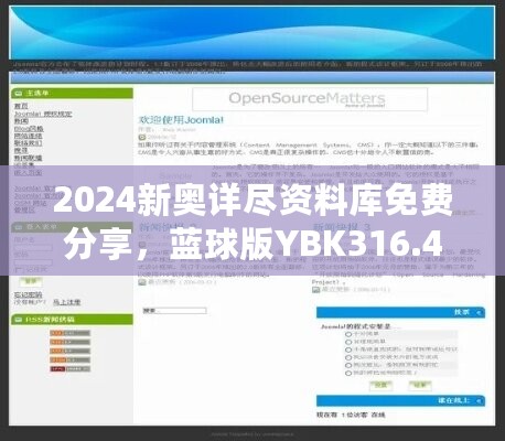 2024新奥详尽资料库免费分享，蓝球版YBK316.43动态词汇解析